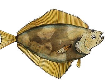 Green Watercolor Fish Flounder Print