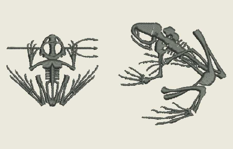 2 designs NAVY SEAL Bone Frogs Skeletal by MountainEmbDesigns
