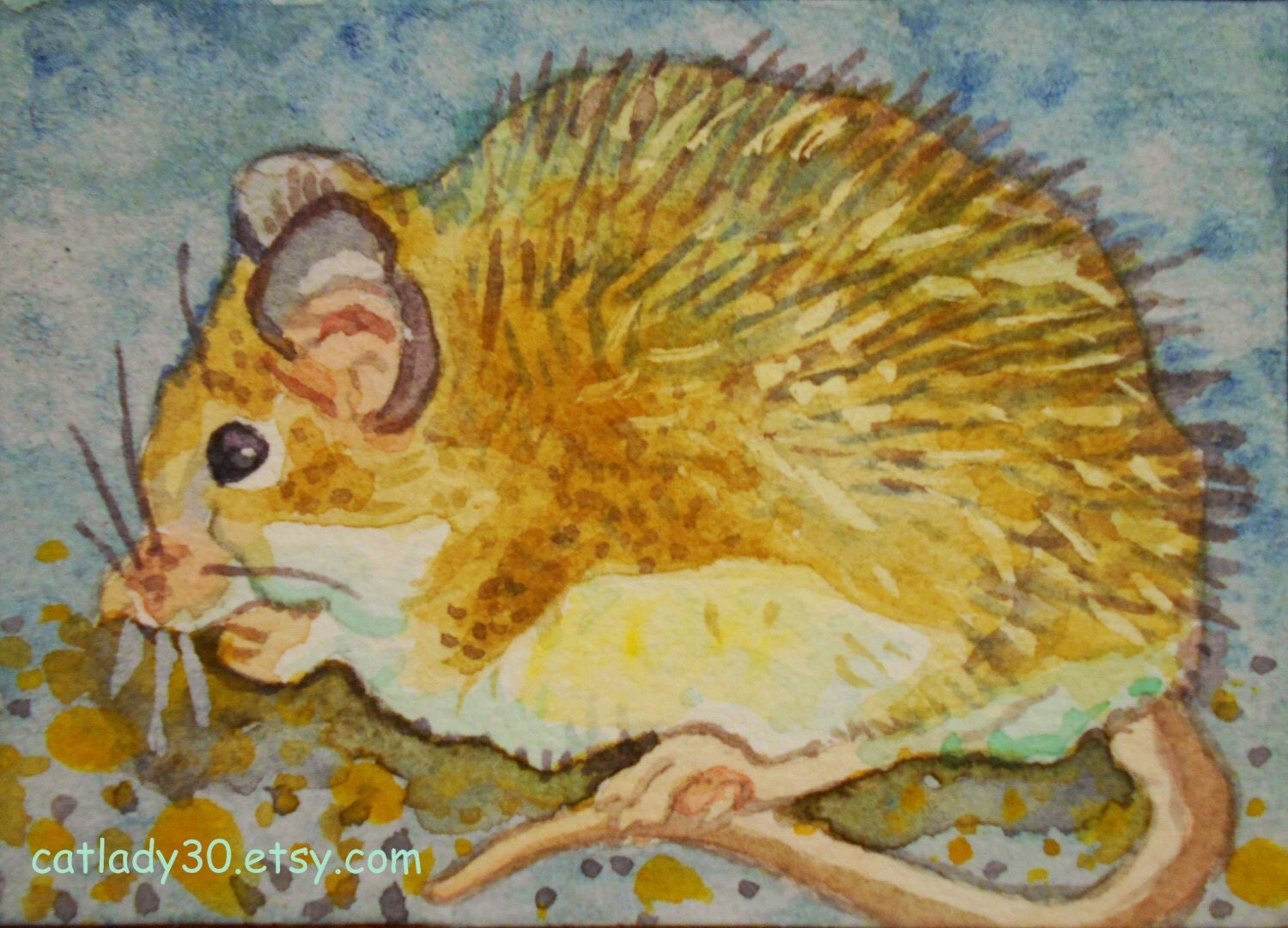 Field Mouse watercolor ACEO print. Mouse by CatladyWatercolors
