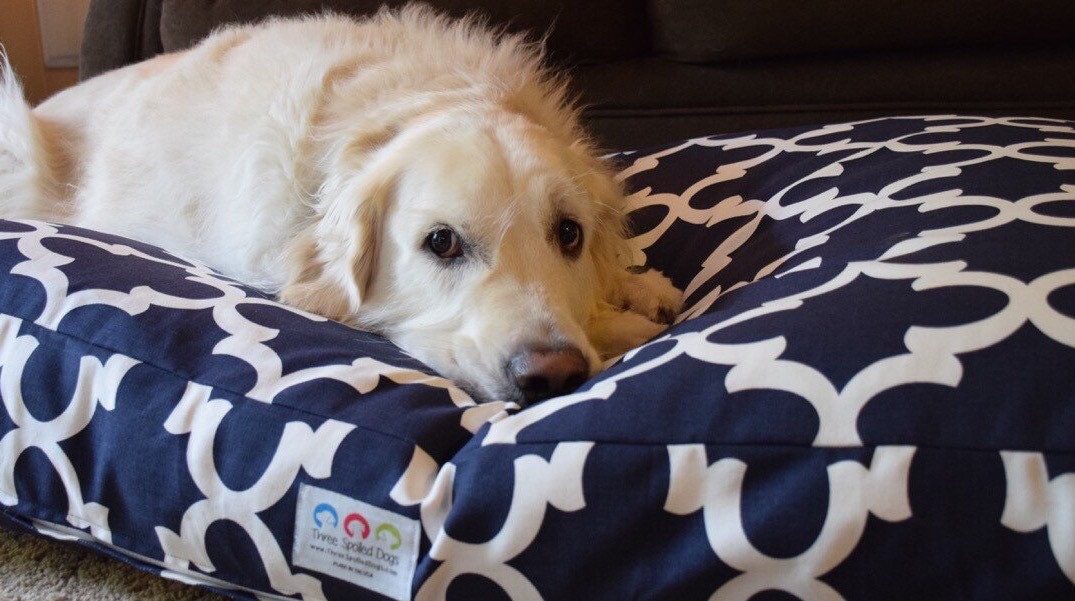 Navy Blue Dog Bed Quatrefoil Designer Fabric Add Pets