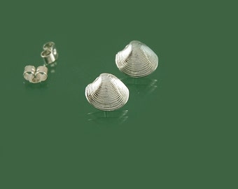 Shell stud earrings in 925 sterling silver
