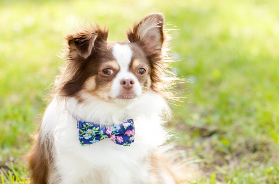 Navy Blue and Floral Dog Collar Bow Tie Metal by SonomaPointe