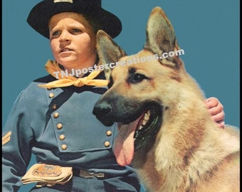 rin tin tin stuffed dog