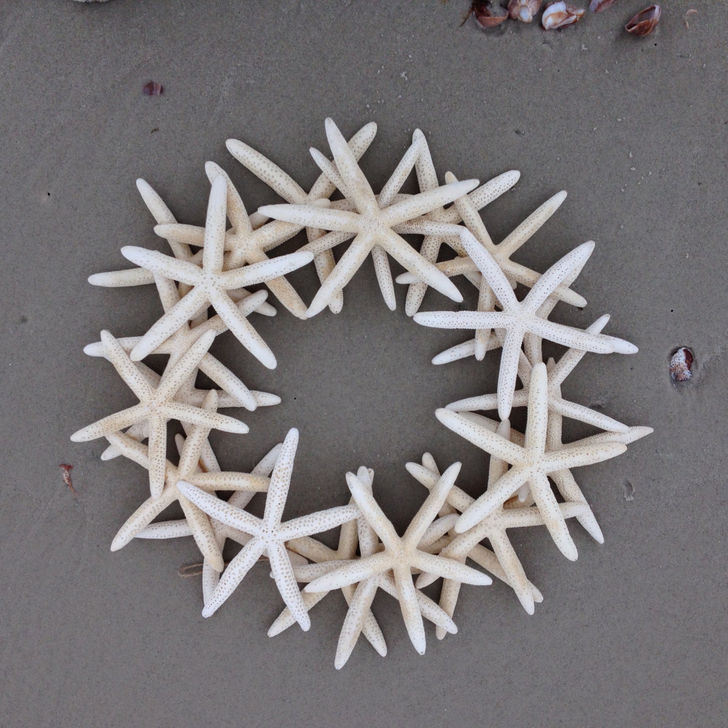 starfish-wreath