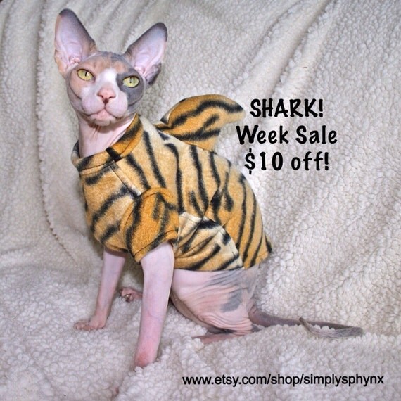 Shark Week Tiger Shark Costume Kitten Shark Cat by SimplySphynx