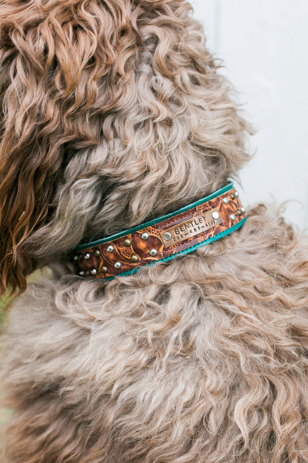 PERSONALIZED Dog Collar // Name Plate Leather and Copper
