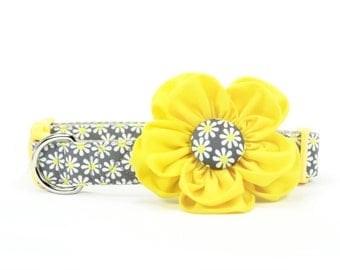 Daisy Dog Flower Collar Grey Yellow Girl Dog Collar Flower
