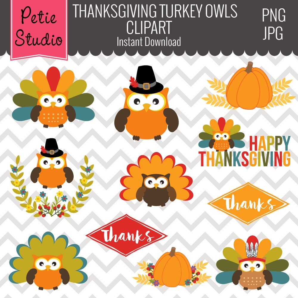 Multicolor Feathers Turkey Owl Clipart Thanksgiving Owls