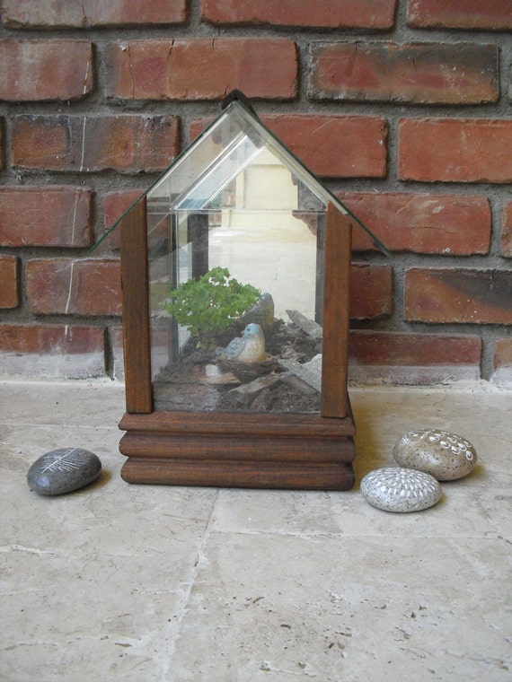 vintage mid century greenhouse shaped herb flower planter glass ... vintage mid century greenhouse shaped herb flower planter glass ...