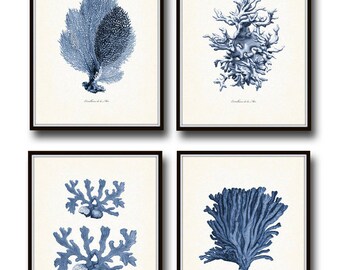 Vintage Indigo Blue Sea Coral Print Set No. 2, Giclee Art Print, Beach House Art, Coastal Art, Prints and Posters, Coral Print, Illustration