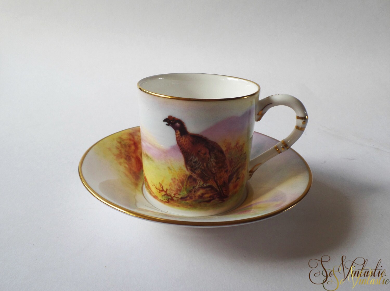 Royal Worcester cup and saucer Game Birds Pheasant pattern