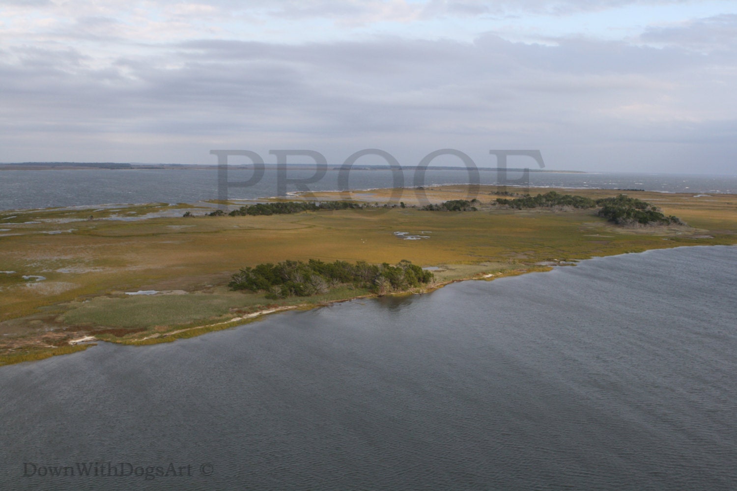 Southern Marsh Island off the coast of by LeeDeLeoArt