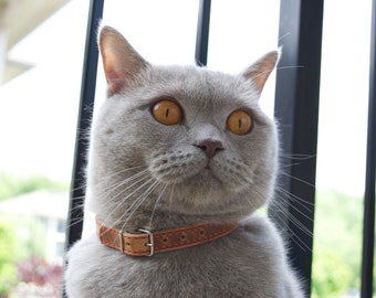 Cat Collar, Leather Cat Collar, Personalized Leather Cat Collar, Horween Leather Cat Collar, Red Thread Cat Collar