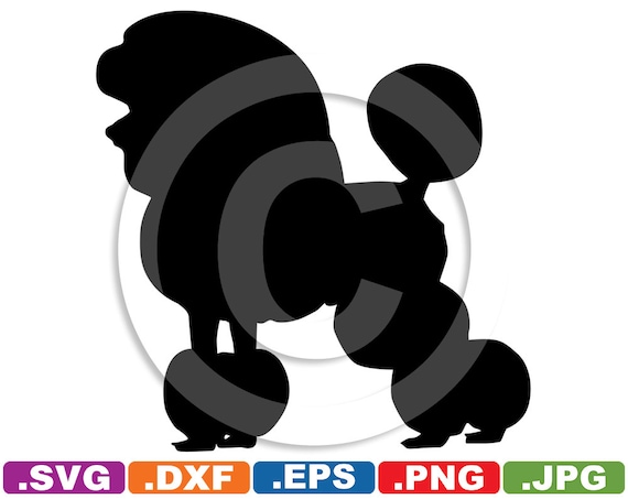 Download Toy Poodle Dog Image File svg & dxf cutting files for Cricut