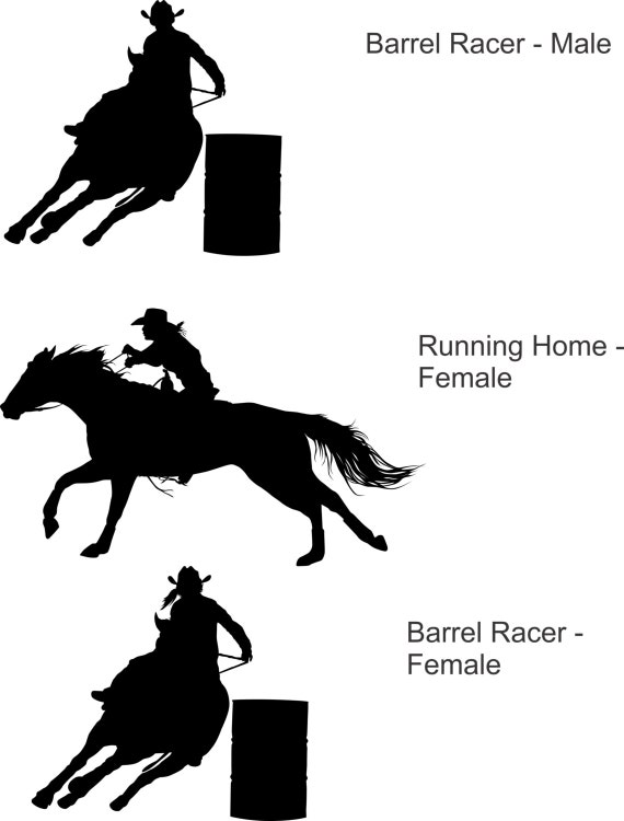 Download Custom Rodeo Decal Barrel Racer Bull Rider Bronc Rider