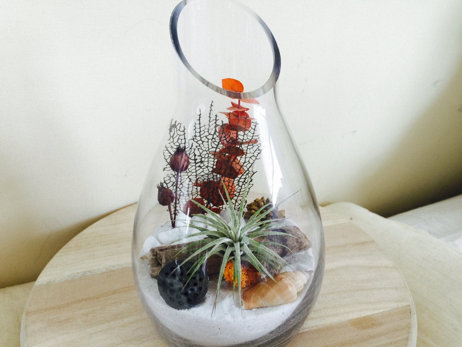 Air Plant Terrarium