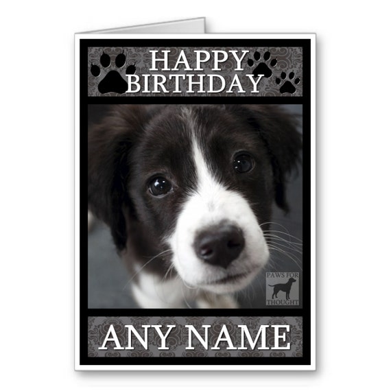 Border Collie birthday card Personalised. A6 by MartynAndWells