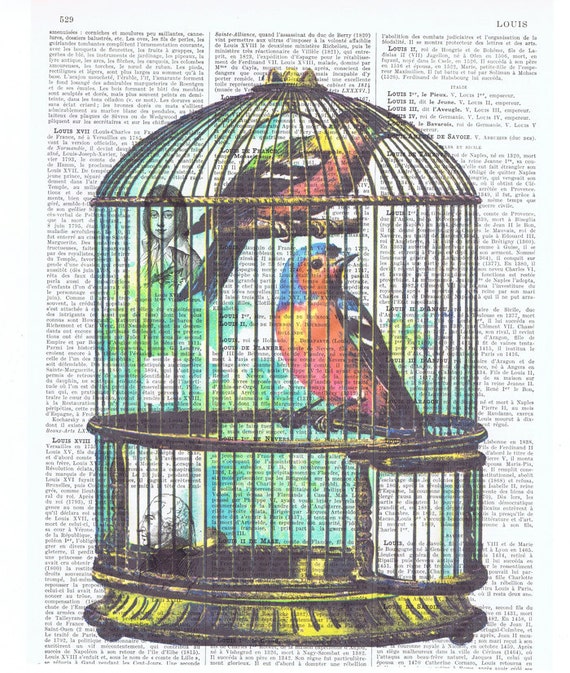 Birdcage.Birdred blue.altered antique. book by JackieBassettArt