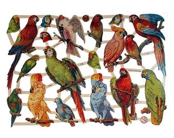 Germany Paper Lithographed Die Cut Scraps Birds Parrots 7303