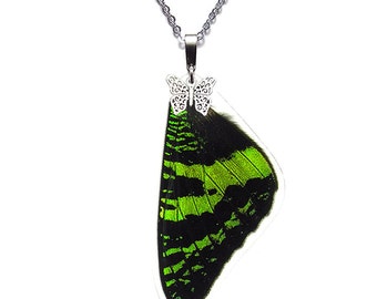 Real Butterfly Wing Necklace (Sunset Moth Forewing - N003)