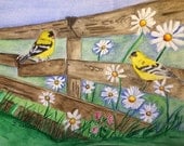 Daisy Field, an original 9" x 12" water color painting, featuring two yellow goldfinches perched on a broken fence in a daisy field. Daisy Field, an original 9" x 12" water color painting, featuring two yellow goldfinches perched on a broken fence in a daisy field.
