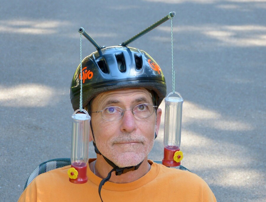 Hummingbird Feeder Helmet Gray Color Adult Size