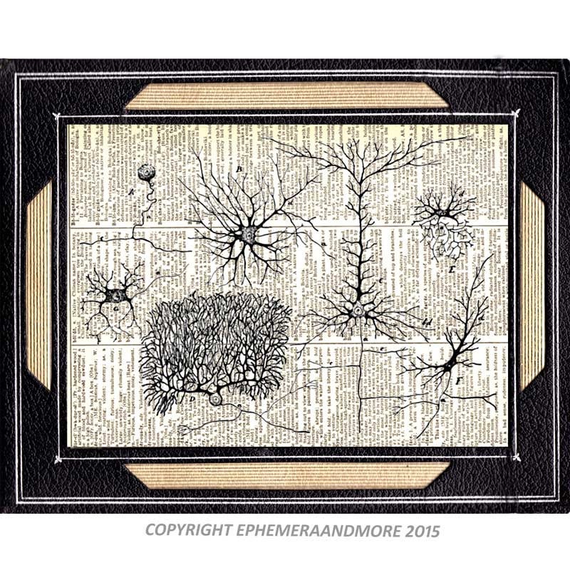 NEURON CELLs art print wall decor Nervous System Neurology