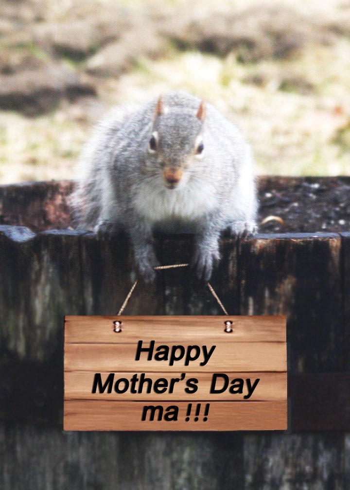 Squirrel Mothers Day card Funny Mother's Day card