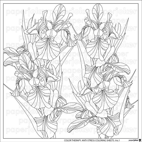 Color Therapy An Anti Stress Coloring Book Pdf