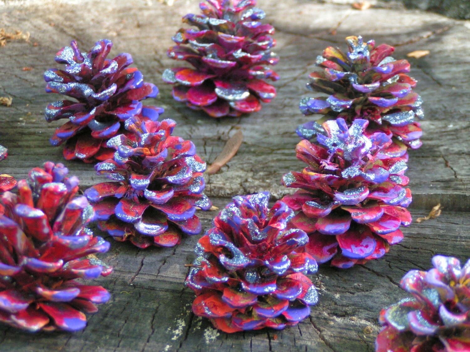 Hand Painted Pine Cones in Red Yellow Pink LavenderFlat