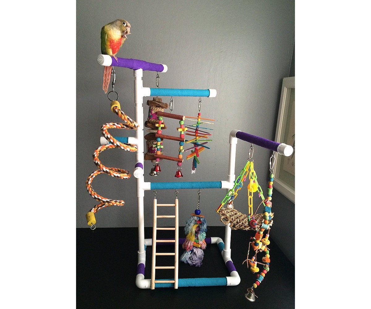 Pvc Bird Play Gym Images