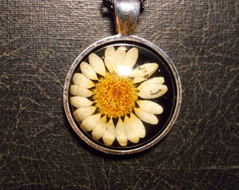 Black with White Daisy Flower Preserved Specimen Necklace