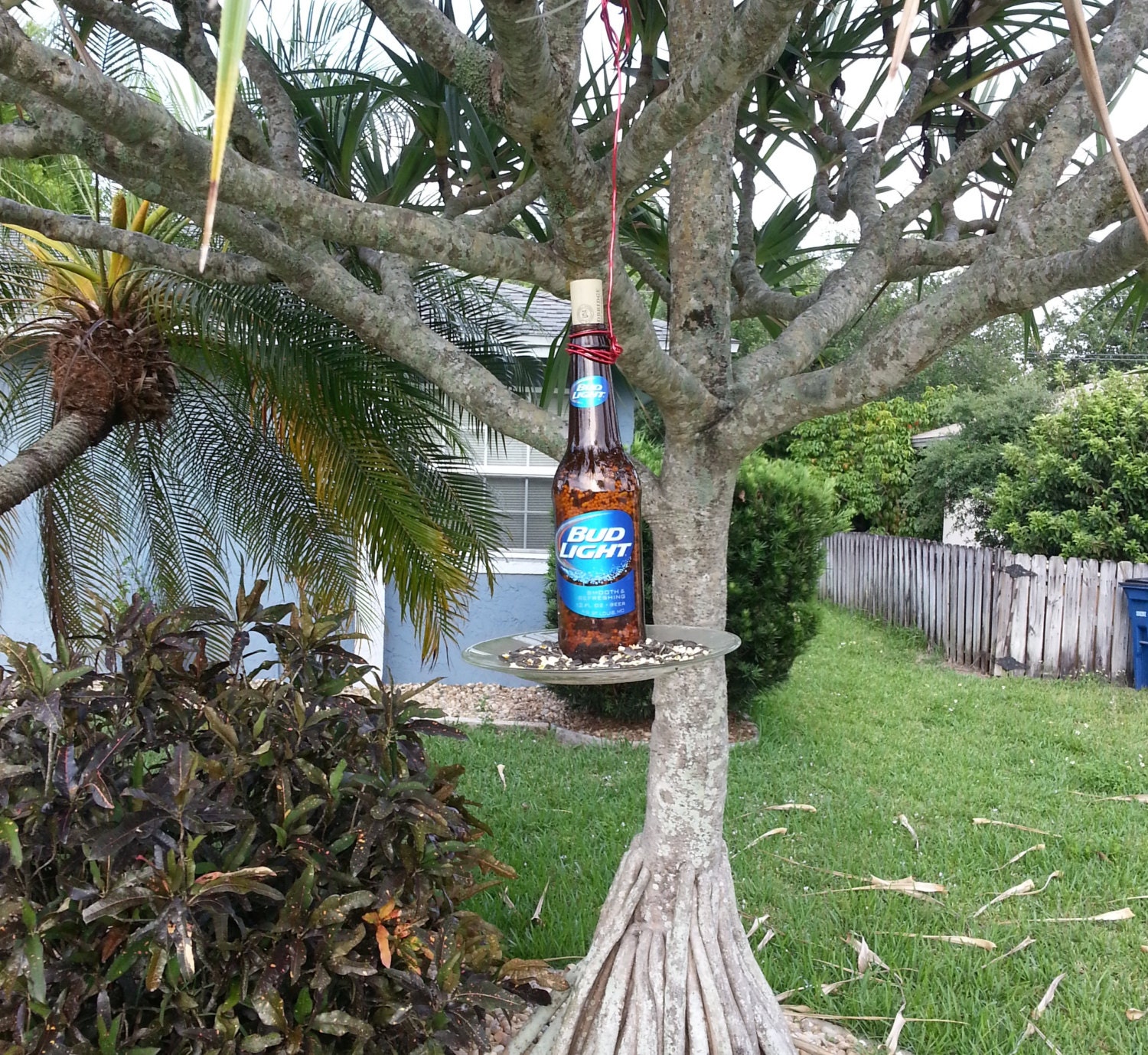 Beer Bottle Bird Feeder Made to order Choose your Beer