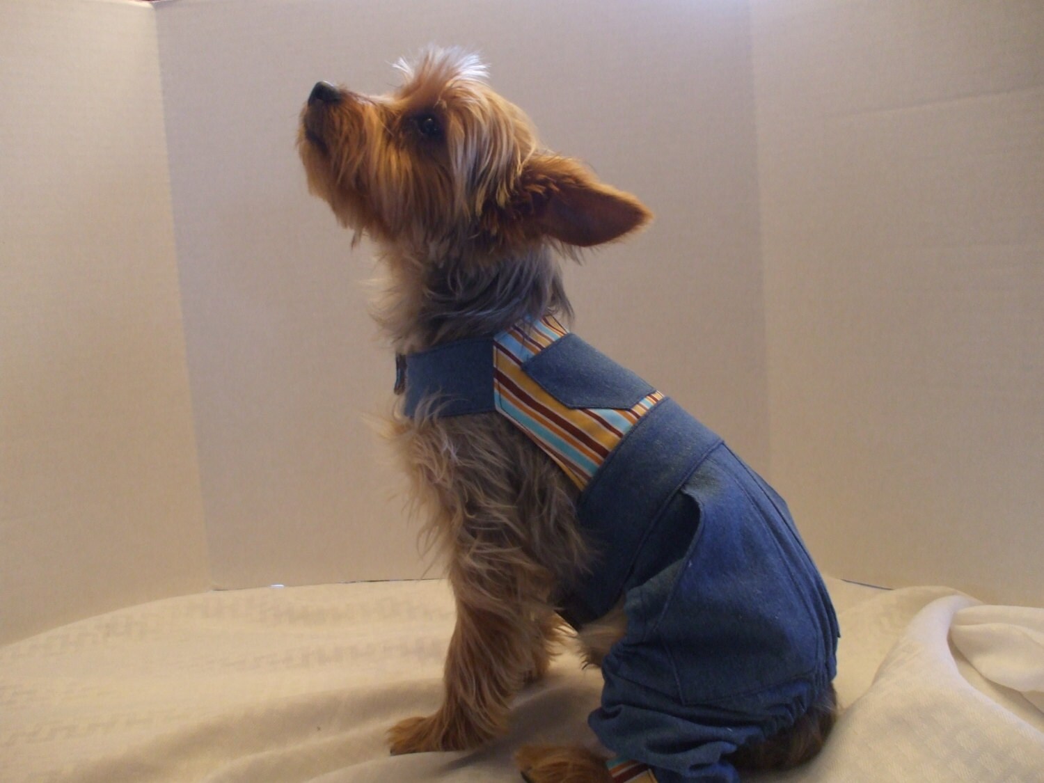 Dog Overalls Denim and Yellow Stripe