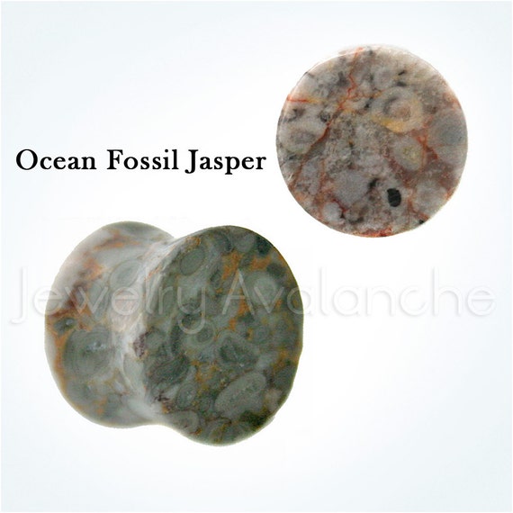 Ocean Fossil Jasper Stone Ear Plugs Double Flare Jasper Stone