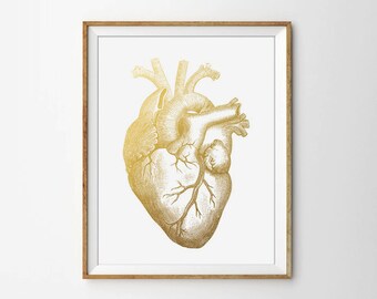 Anatomical Heart, Human Heart, Heart Print, Medical Print, Doctor Print, Modern Office Print, Office Print, Human Anatomy, Faux Gold Foil