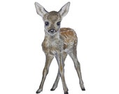 Fawn, woodland animal giclee print, from original watercolor painting