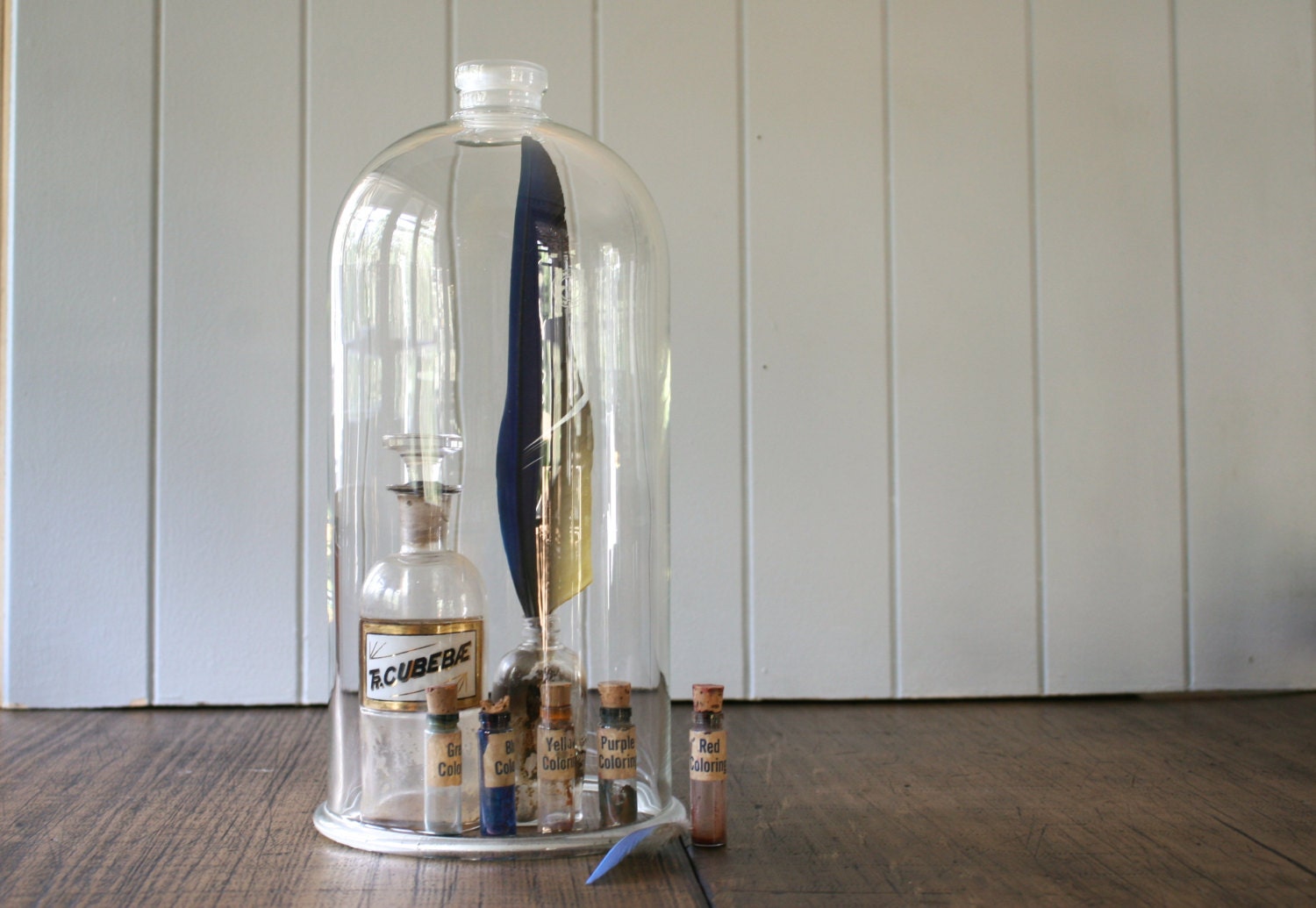 RESERVED STEPHANIE Extra Large Glass Scientific Cloche with