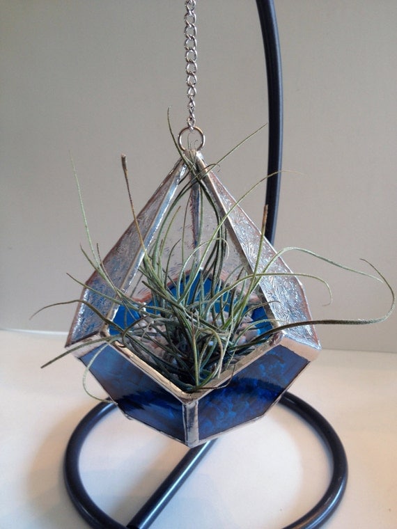 Handmade Stained Glass Air Plant Holder / Solarium