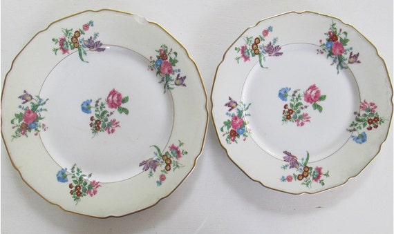 Antique T & V French Limoges China