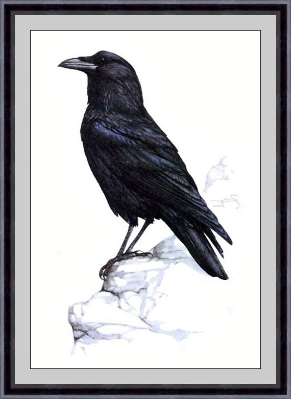 https://www.etsy.com/listing/201279282/crow-original-watercolor-painting-art?ref=shop_home_active_3