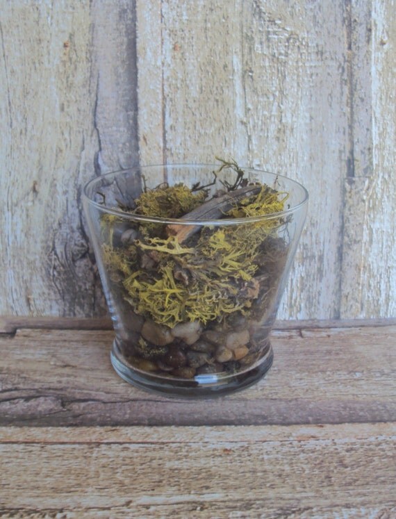 Desktop Faux Terrarium Small Faux Terrarium by HomeDecorbyDiane