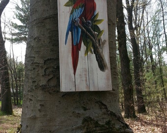 Pallet Wood Sign - Parrot