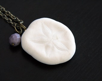 Collier Clypéastéroïdes : sand dollar oursin taxidermie curiosités histoires naturelles