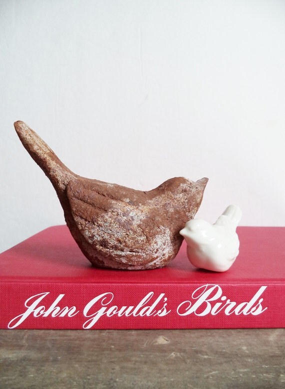 Vintage Bird Book John Gould's Birds Coffee by SPARKLESandSASS