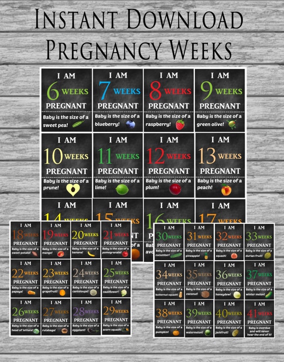 Instant Download Chalkboard Pregnancy Weeks