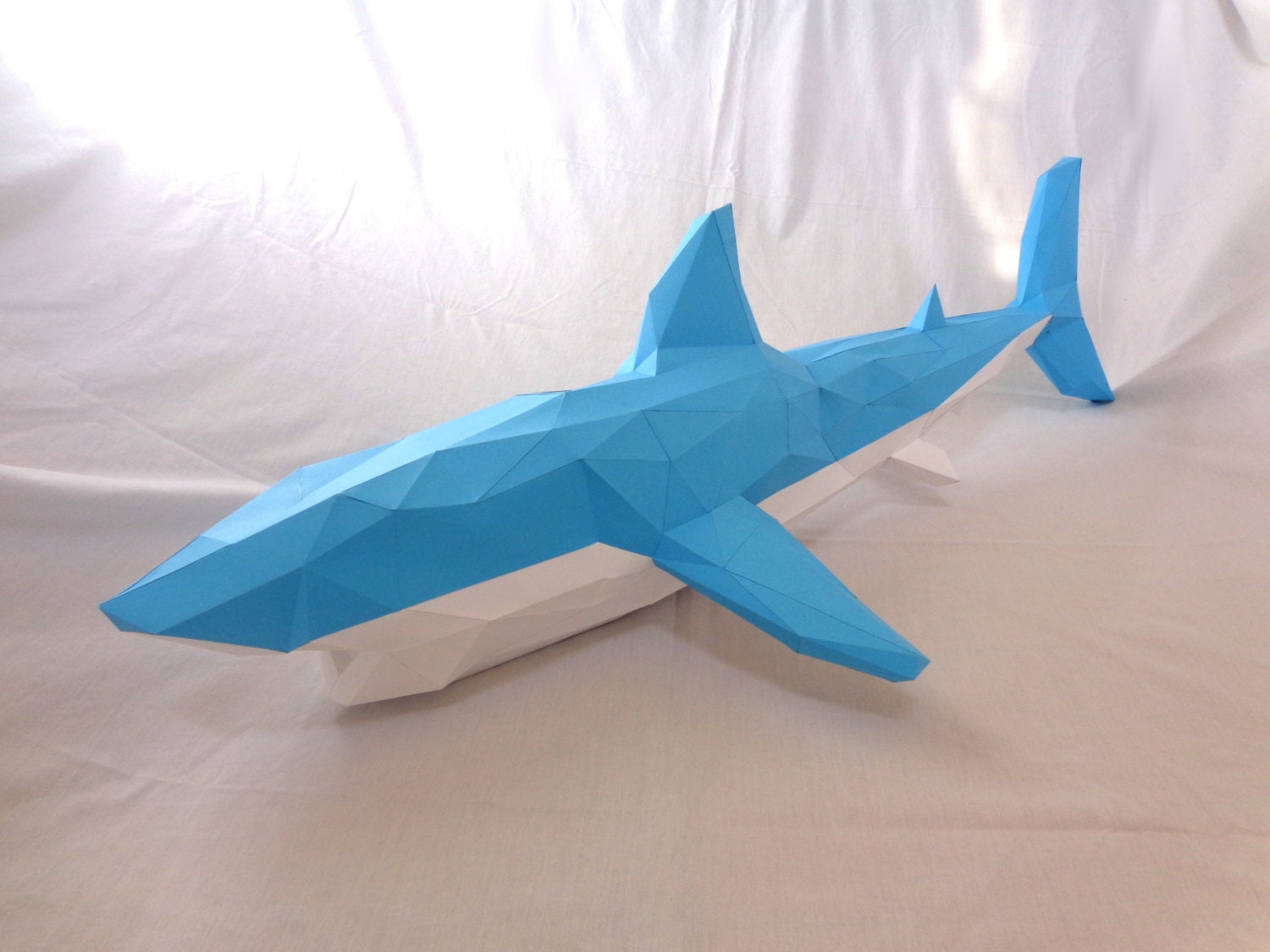 shark paper