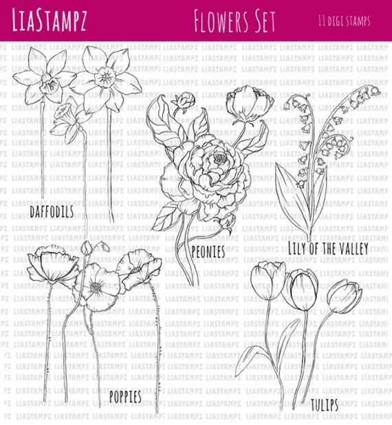 Digitalni stamp- Rože nastavljen .peonies.  deffodils.poppies.lily doline.  tulipani.  digi žig.  LiaStampz