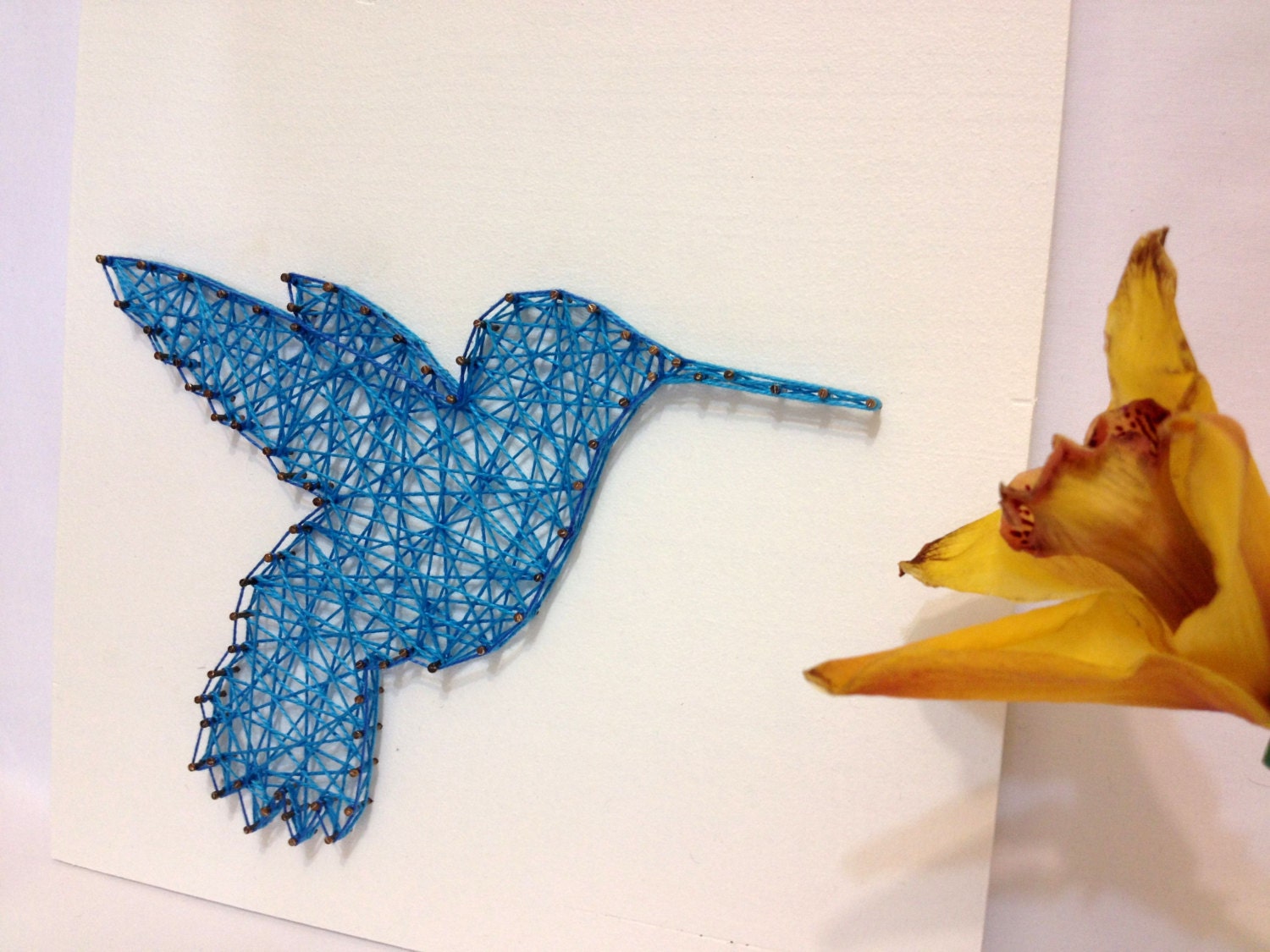 diy-string-art-pattern-hummingbird-bird-pattern-and-tutorial