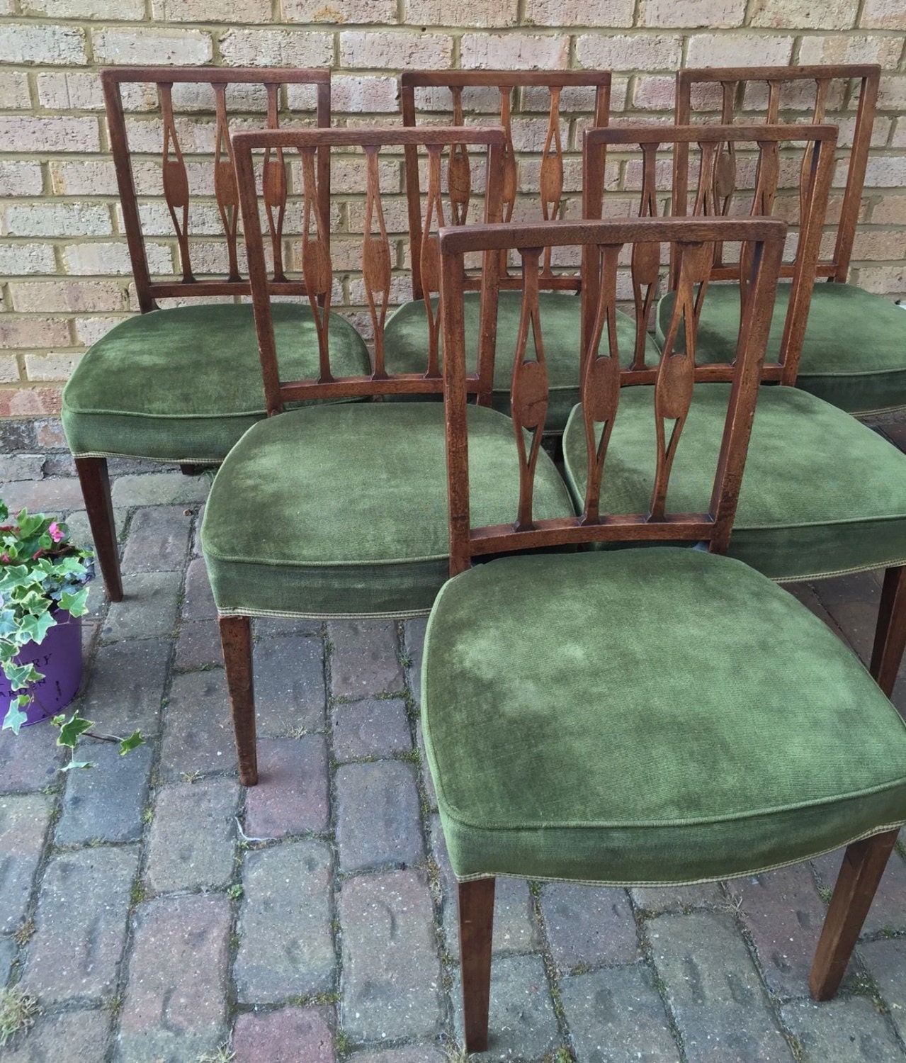 Set of Six Dining Chairs with Deep Green Velour Fabric Haute
